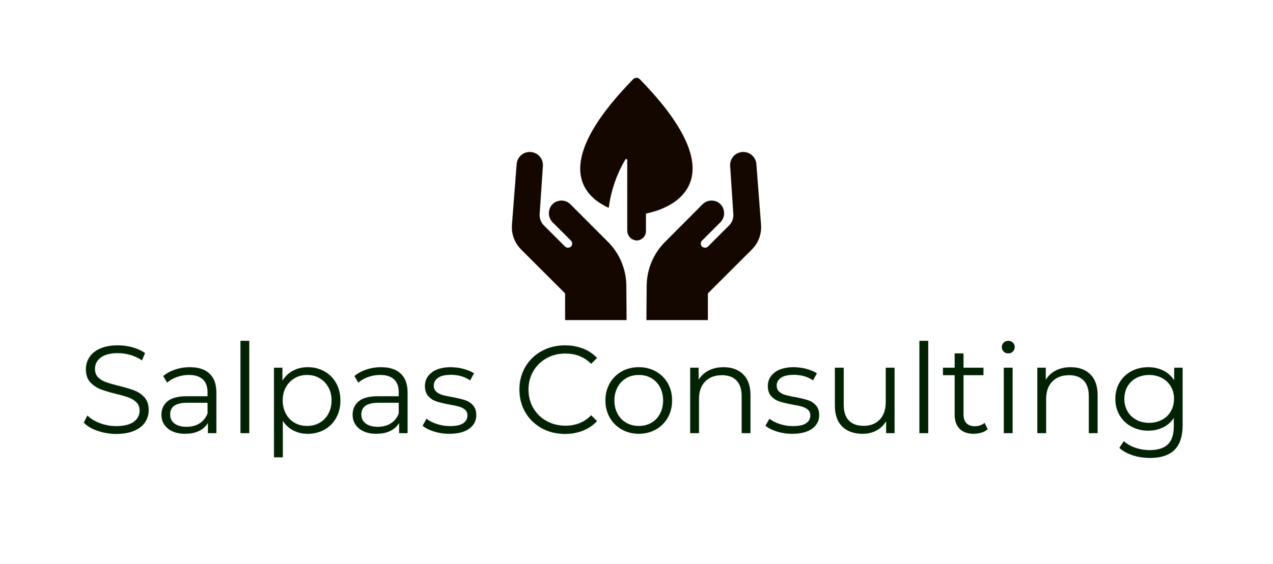 Salpas Consulting Logo
